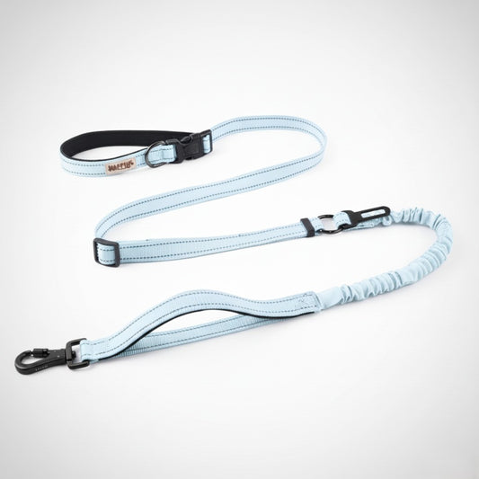 HAPPUP Hands-Free ALL-IN-ONE Leash