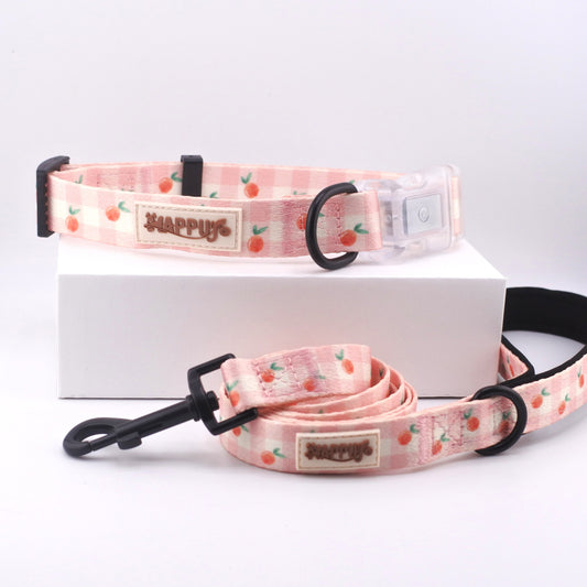 HAPPUP GLOW Set – Peachy Paws (Collar + Leash)