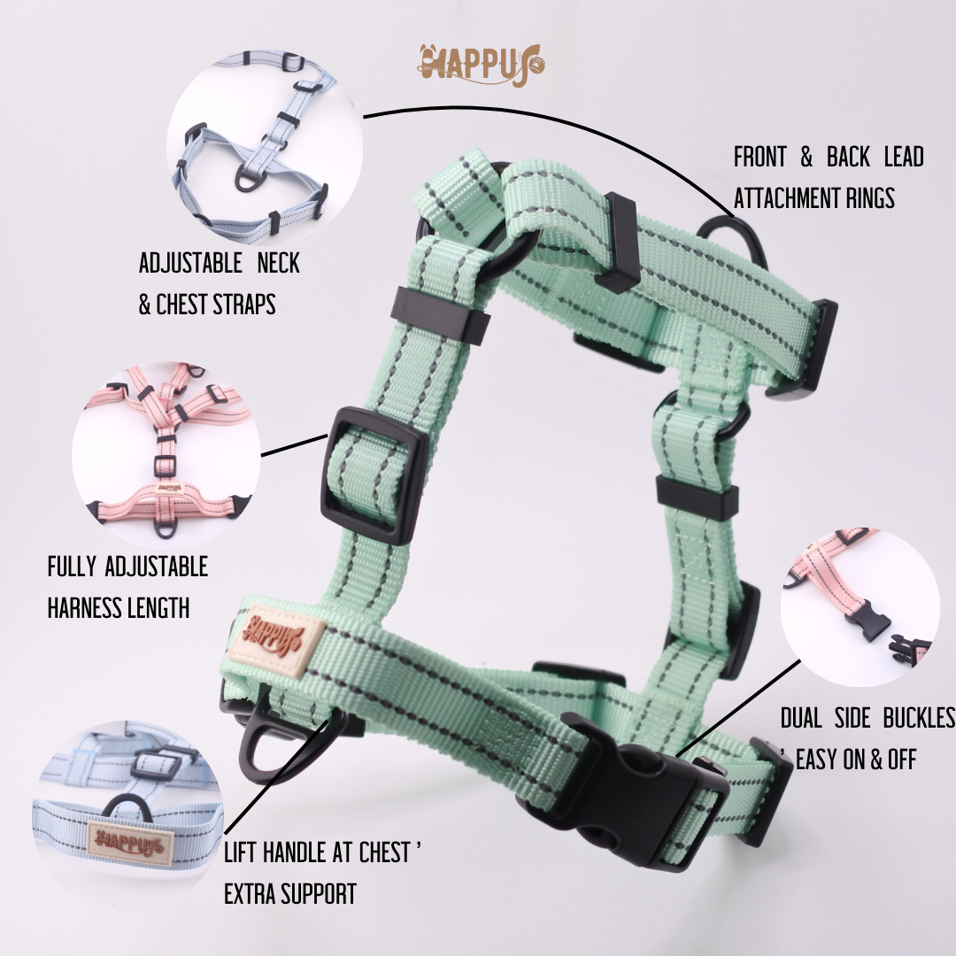 HAPPUP BIGPAW Macaron Dog Harness