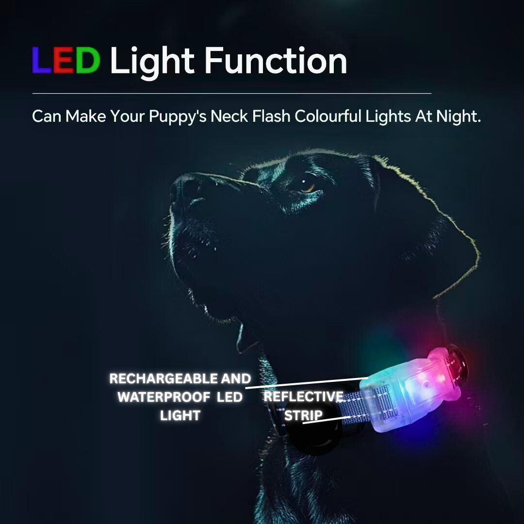 HAPPUP GLOW LED Large Dog Collar
