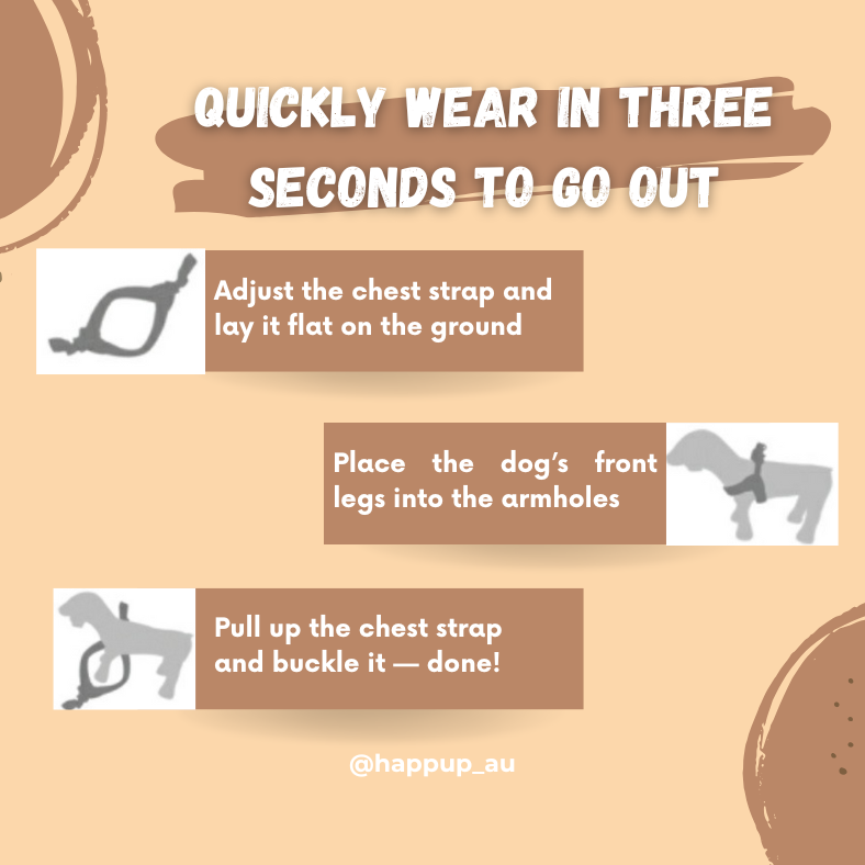 Instructions for quickly wearing a product on a dog, with illustrations and text on a beige background.