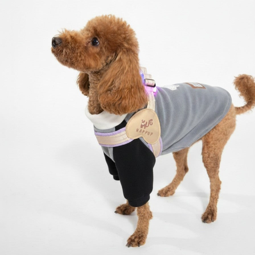 HAPPUP GLOW LED Harness - Lemon Lavender