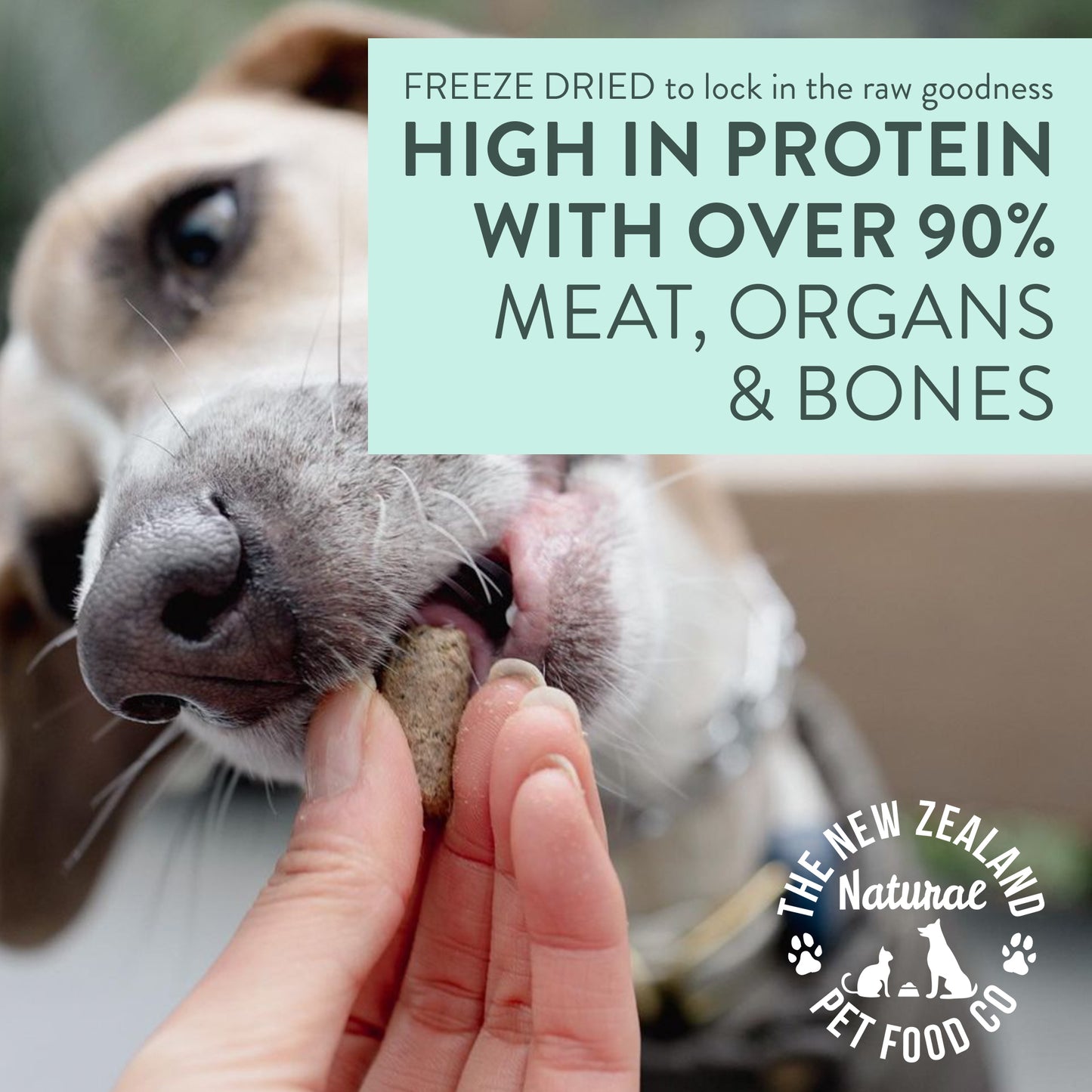 WOOF - Freeze Dried Dog Treat - Lamb 50g