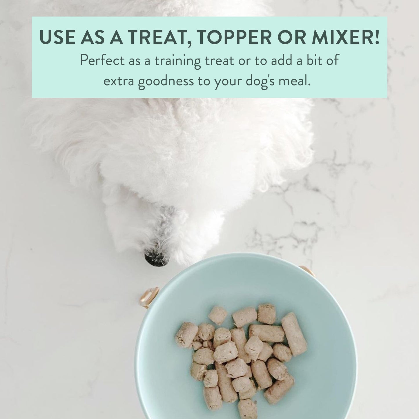 WOOF - Freeze Dried Dig Treat - Beef Green Tripe 40g