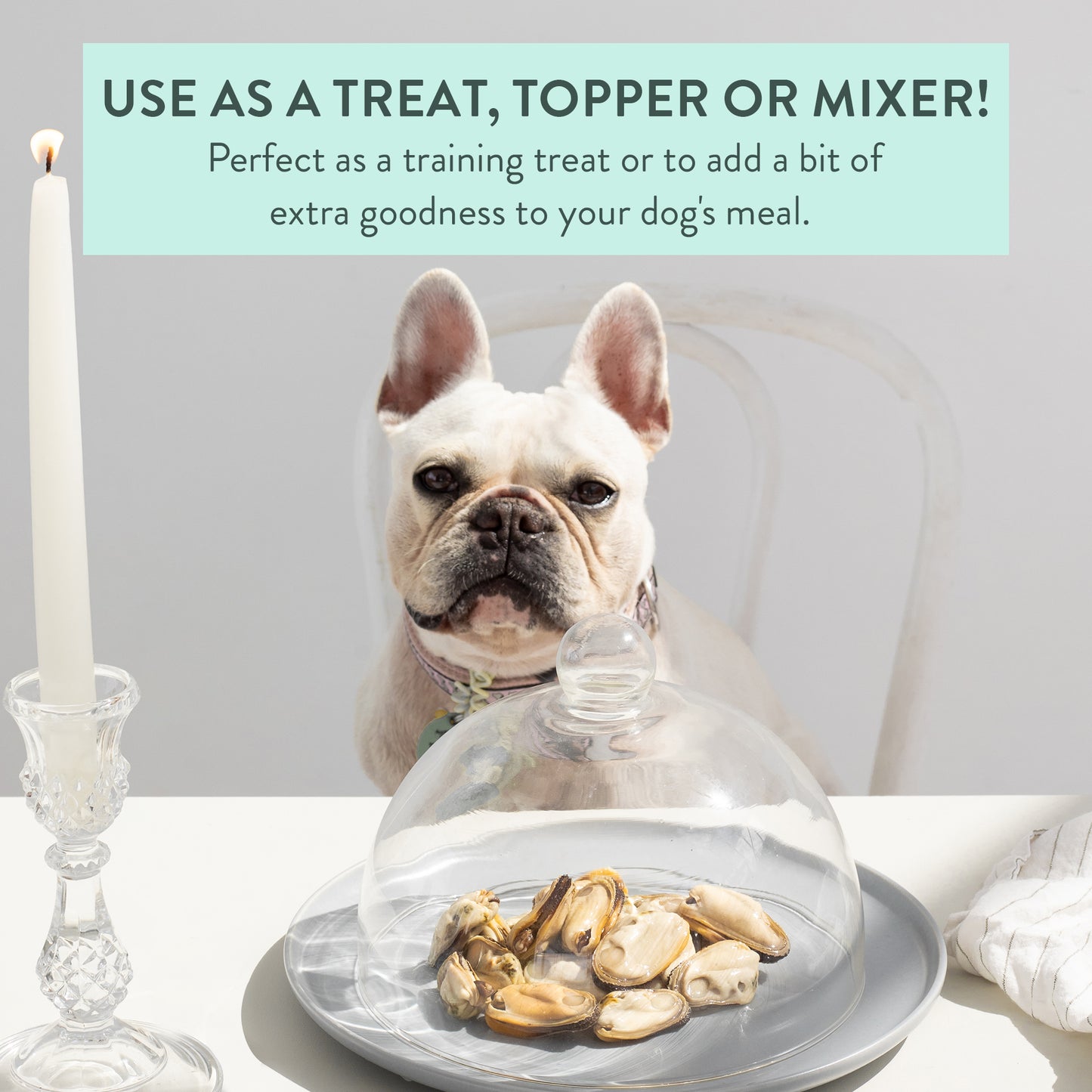 WOOF - Freeze Dried NZ Mussels Treat - 50g