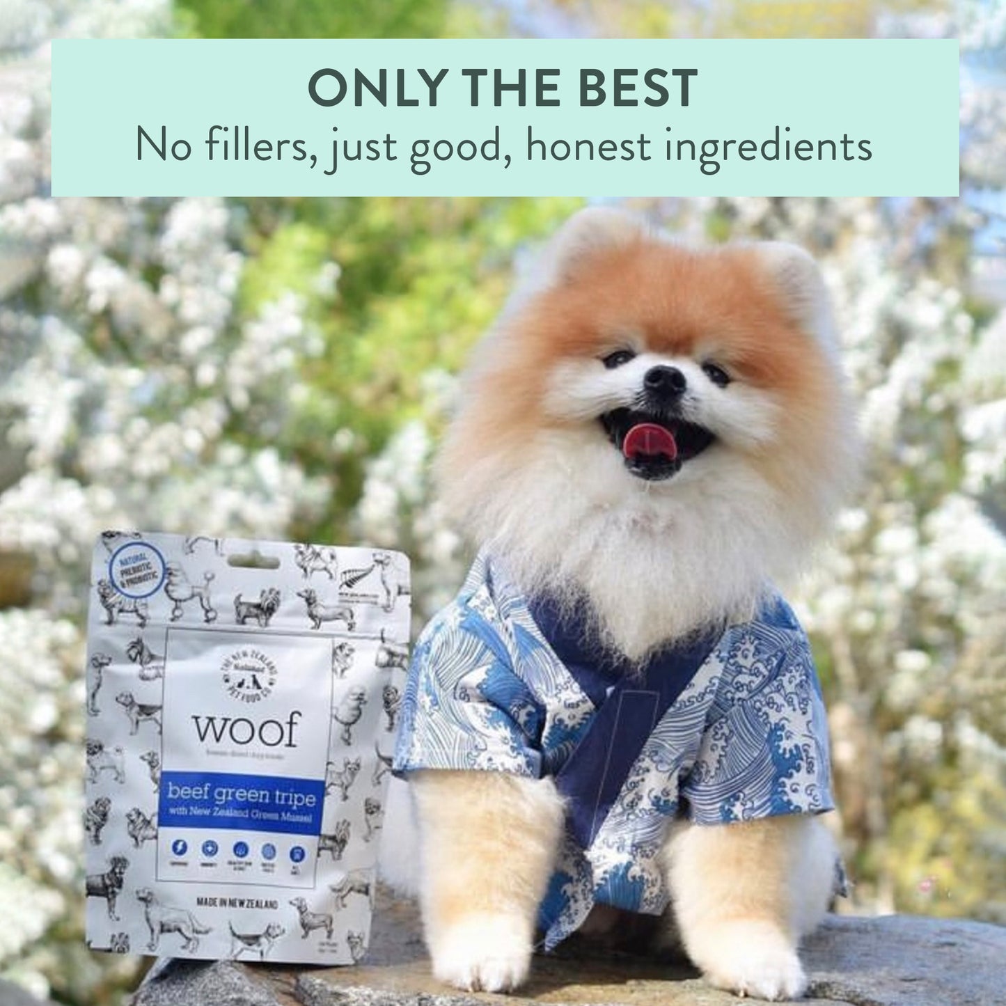 WOOF - Freeze Dried Dig Treat - Beef Green Tripe 40g