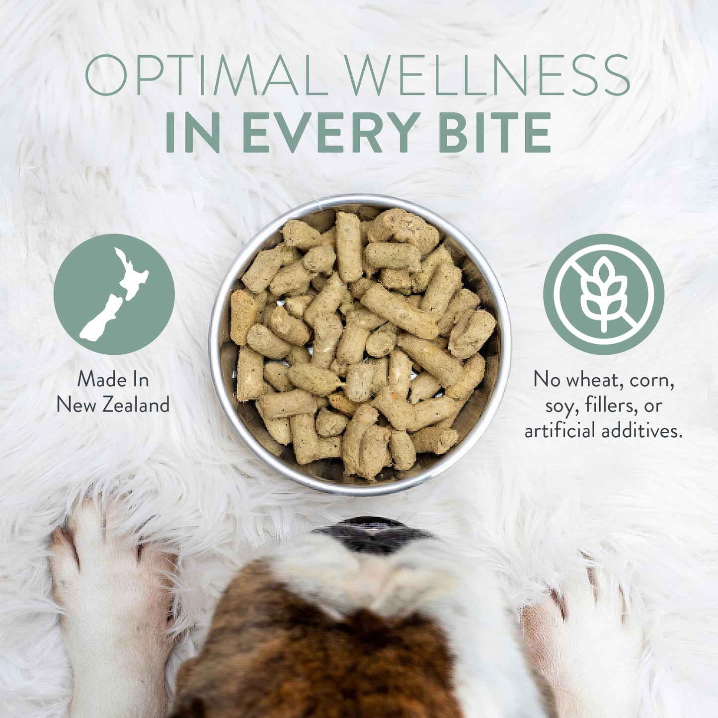 WOOF - Freeze Dried Dog Treat - Chicken 50g