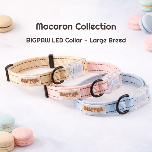 BIGPAW LED Collar - Large Breed
