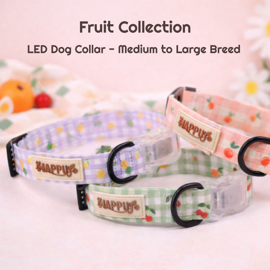 LED Dog Collar - Medium to Large Breed