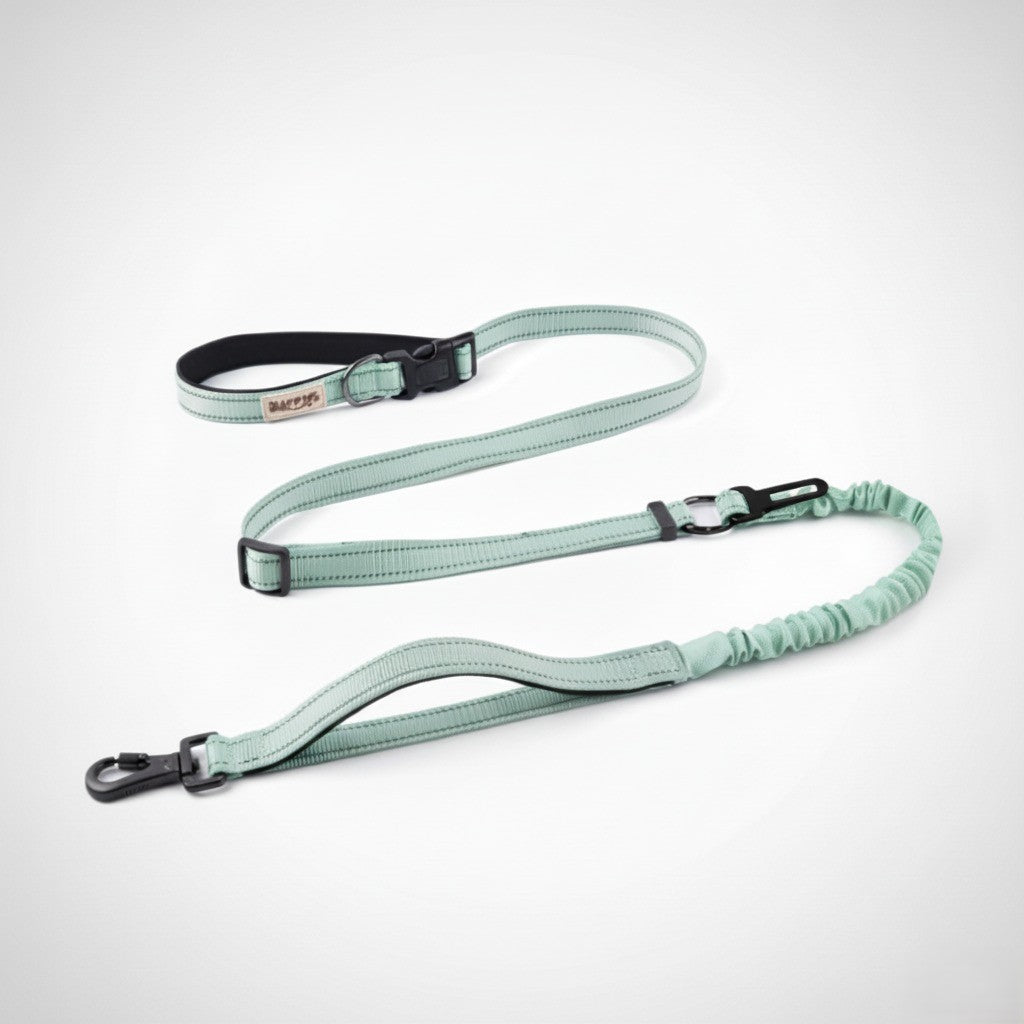 HAPPUP Hands-Free ALL-IN-ONE Leash
