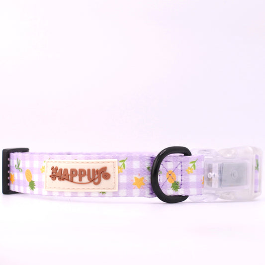 HAPPUP GLOW LED Dog Collar