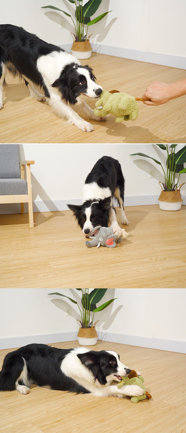 HAPPUP Tough Rope & Plush Chew Toy