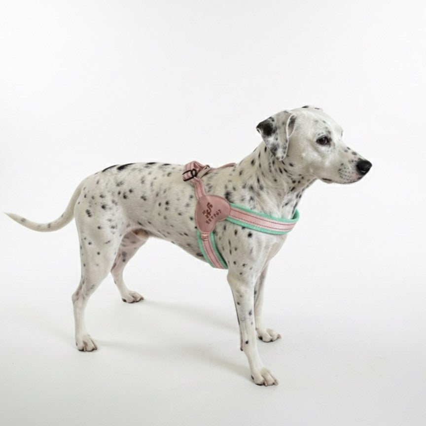 HAPPUP GLOW LED Harness - Mint Blossom