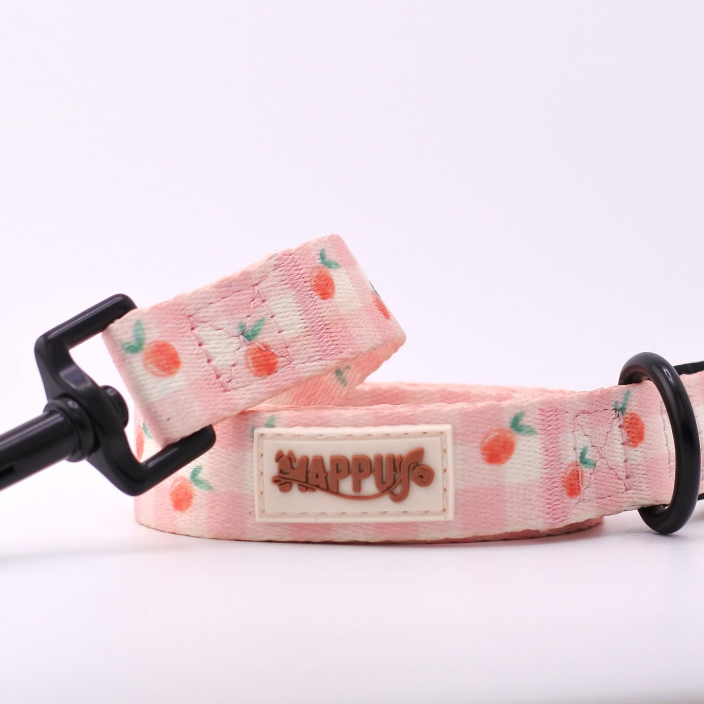 HAPPUP Fruit Collection Leash