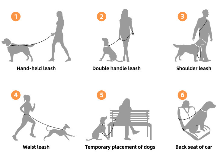 HAPPUP Hands-Free ALL-IN-ONE Leash