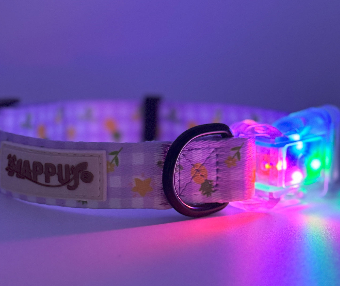 HAPPUP GLOW LED Dog Collar